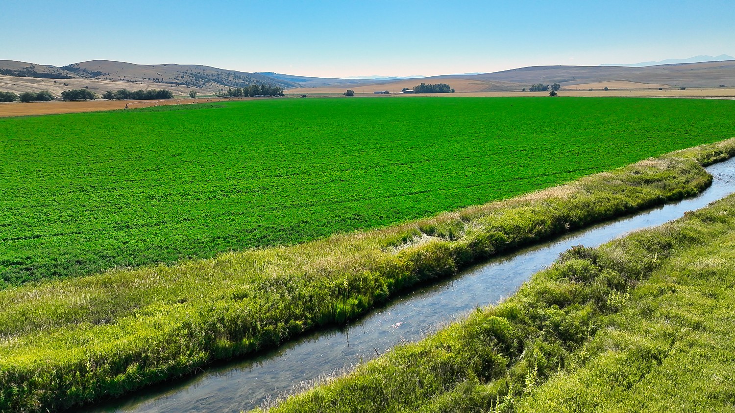 14917 Buffalo Jump Road