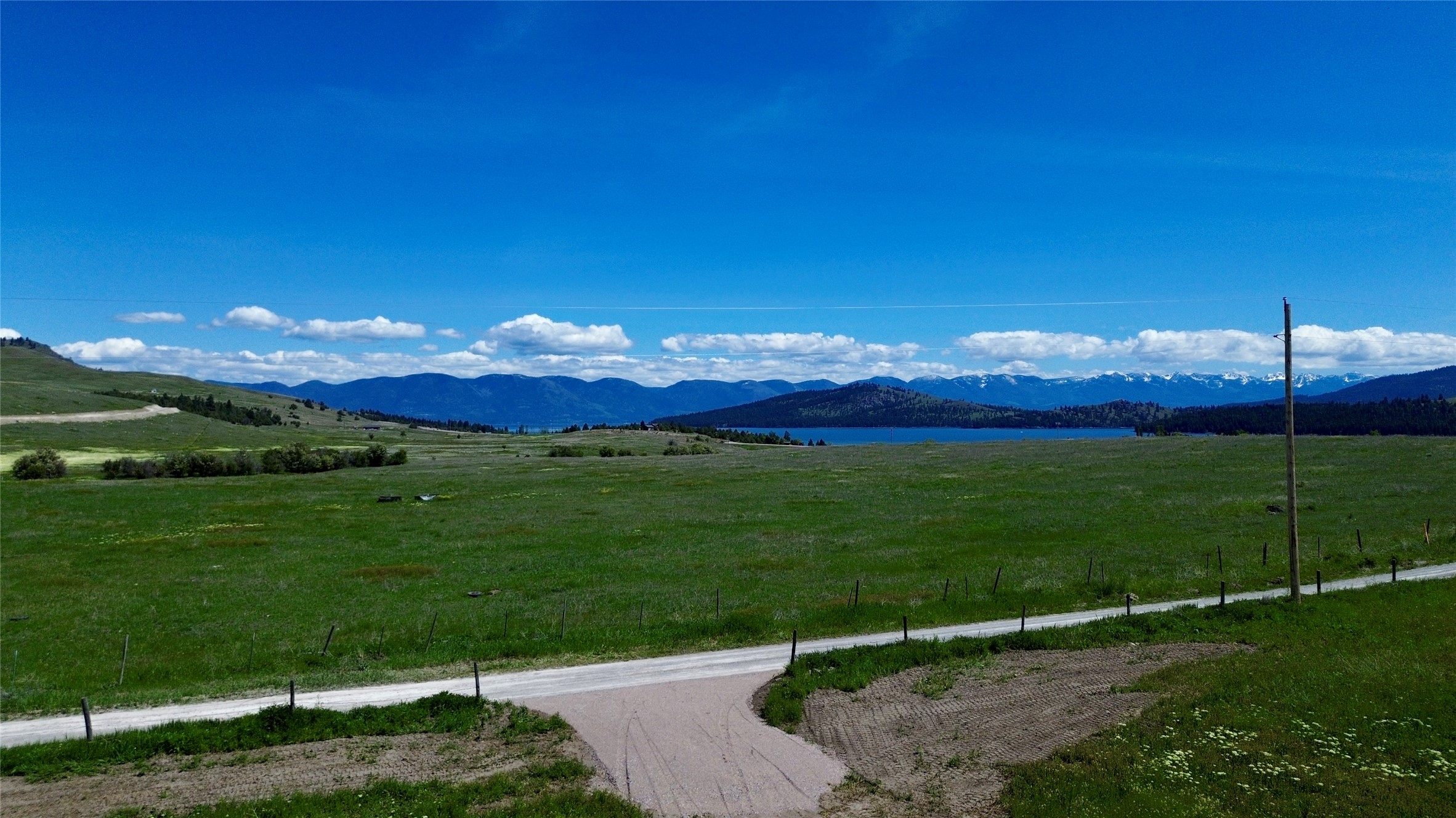 23xxx Yellowbell Lane