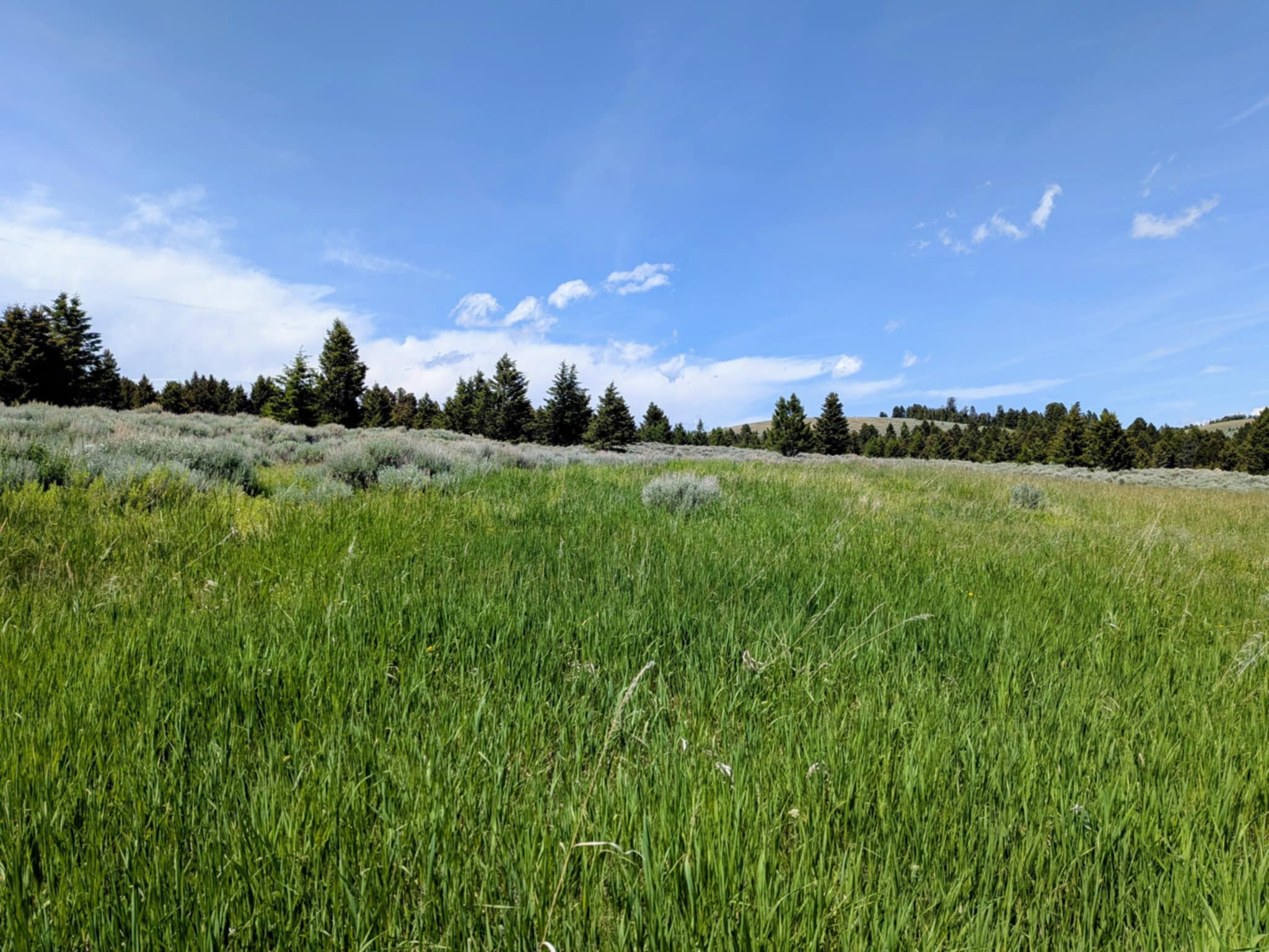 127 Panorama Drive