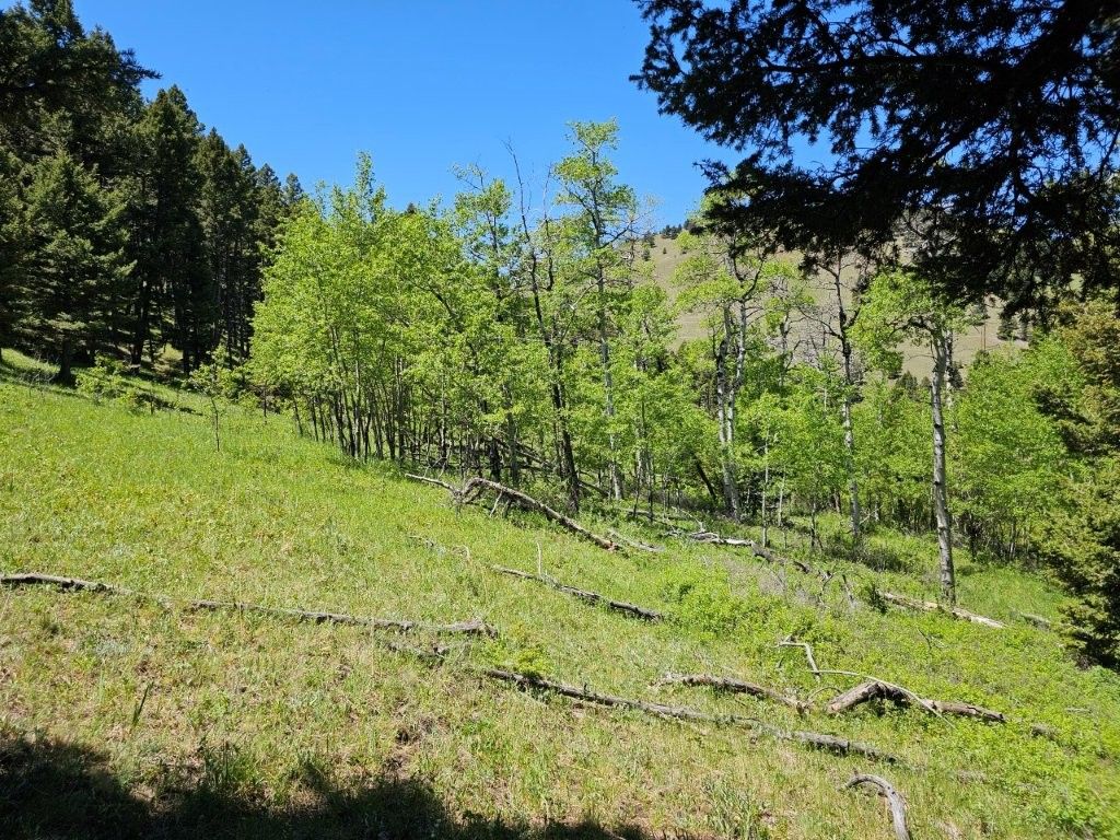 Photo of 634 Corbin Road, Clancy, MT 59634 (MLS # 30046739)