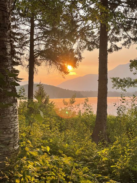 Tiny photo for 1449 Grizzly Spur, West Glacier, MT 59936 (MLS # 30066656)
