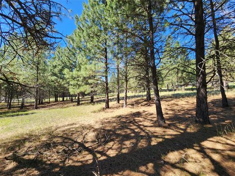 Tiny photo for Lot 1 River Road, Troy, MT 59935 (MLS # 30070249)