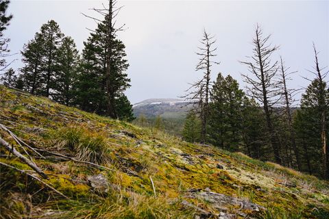 Tiny photo for 2001 Browns Meadow Road, Kila, MT 59920 (MLS # 30069362)