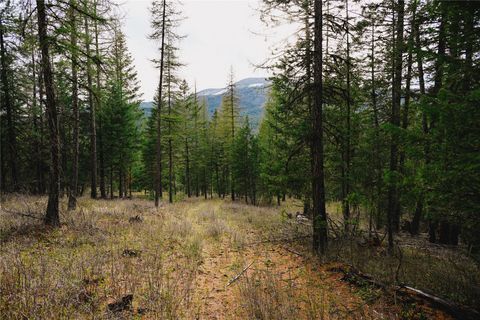 Tiny photo for 2001 Browns Meadow Road, Kila, MT 59920 (MLS # 30069362)