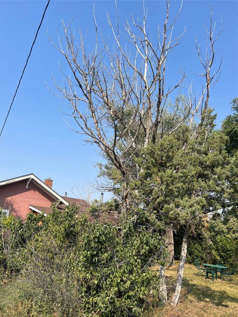 Tiny photo for 608 2nd Street, Valier, MT 59486 (MLS # 30072664)