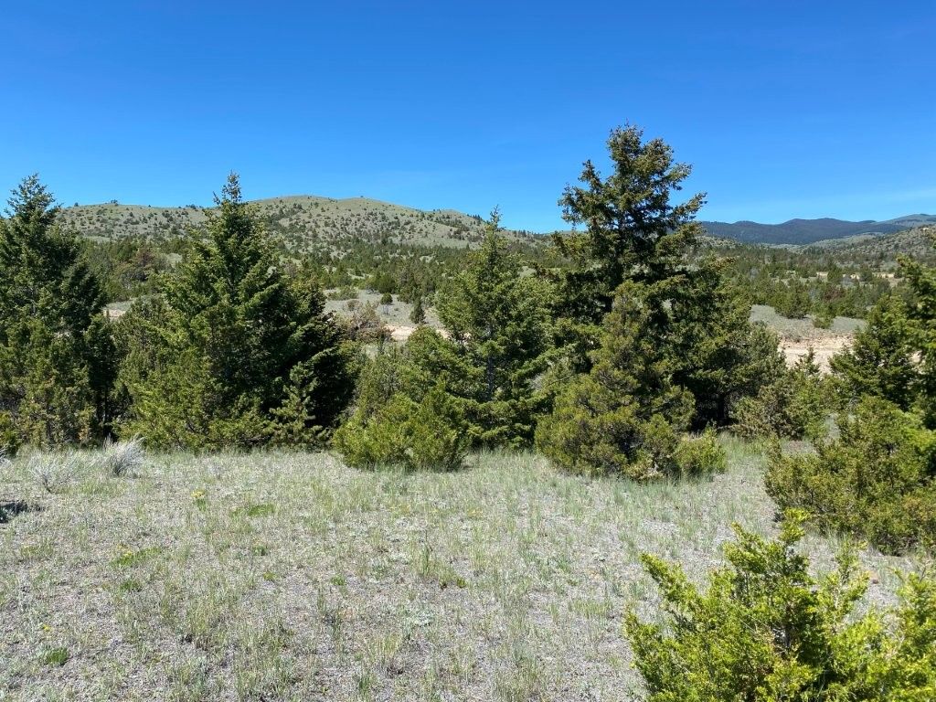 Photo of 17 Keating Gulch Road, Townsend, MT 59644 (MLS # 30068959)