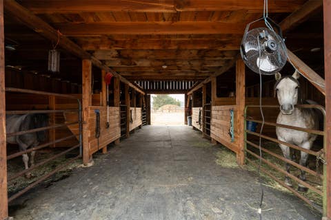 Tiny photo for 258 Sheafman Creek Road, Victor, MT 59875 (MLS # 30076522)