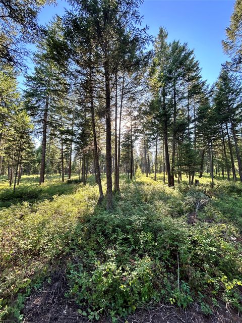 Tiny photo for TBD Eagle Run Drive, Whitefish, MT 59937 (MLS # 30063932)