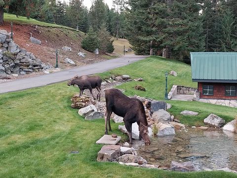 Tiny photo for 17274 / 17276 Bull Lake Road, Troy, MT 59935 (MLS # 30069529)