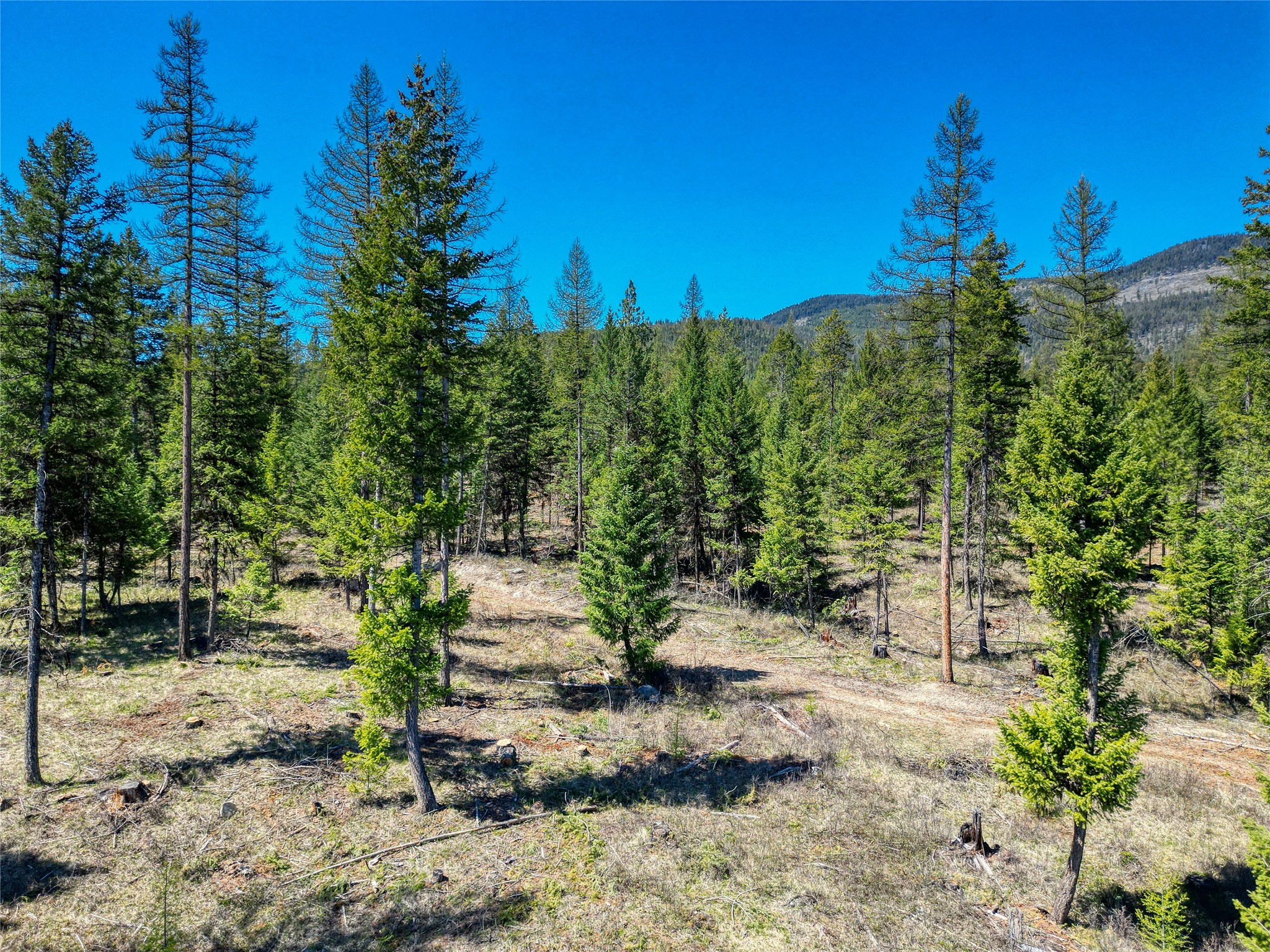 NHN Haskill Ranch Road Multiple Lots