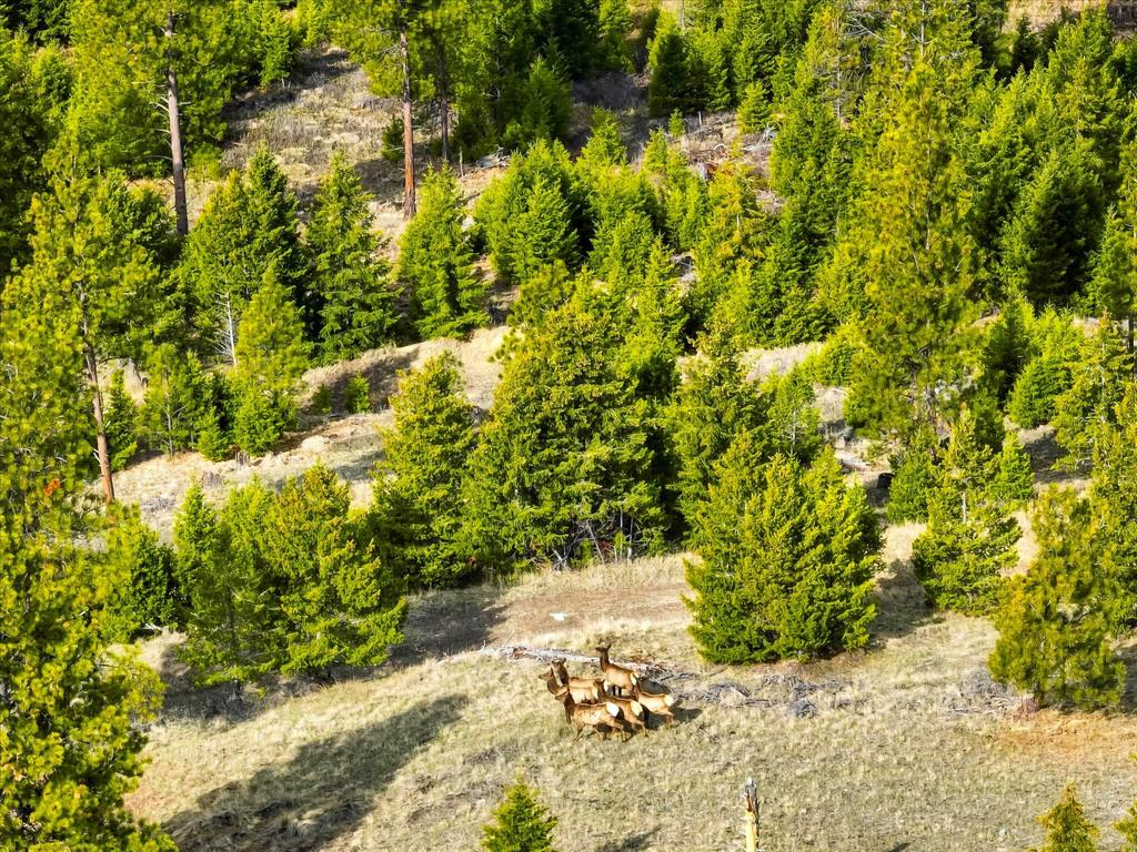 NHN Haskill Ranch Road Multiple Lots