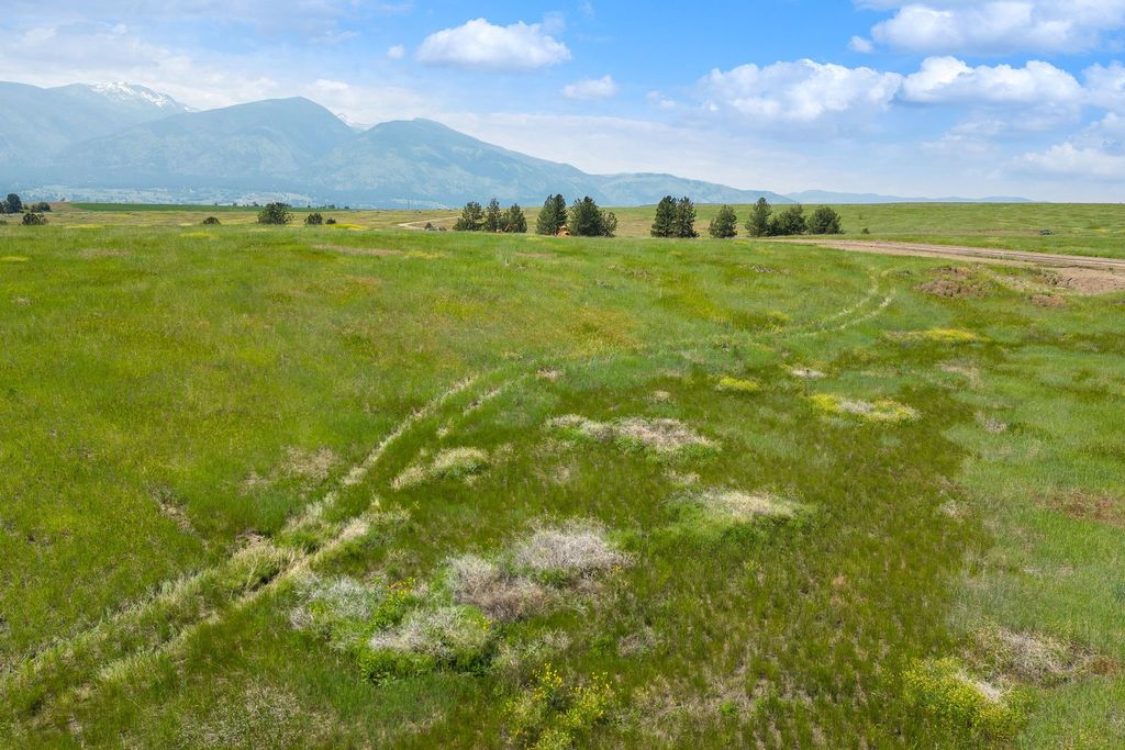 Photo of 141 Turnstone Way, Florence, MT 59833 (MLS # 30060602)