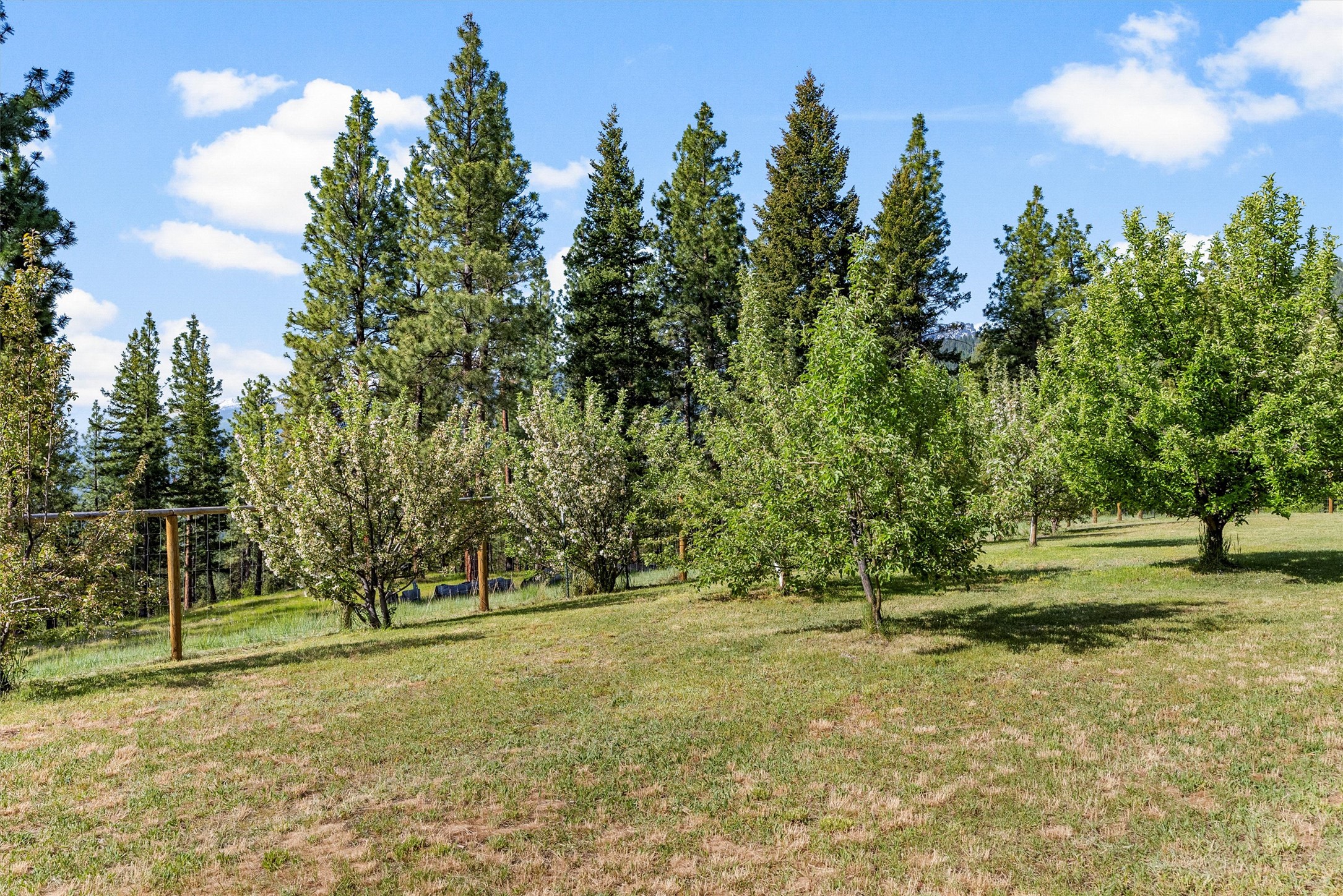 Victor, Montana 59875, United States, 3 Bedrooms Bedrooms, ,3 BathroomsBathrooms,Residential,Active,139287