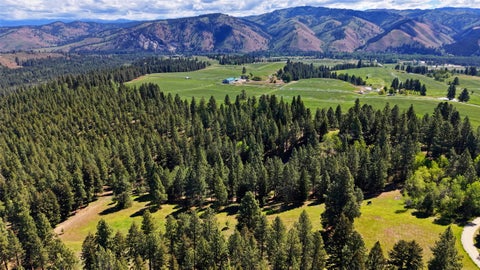 Tiny photo for 246 Coal Mine Road, Darby, MT 59829 (MLS # 30071448)