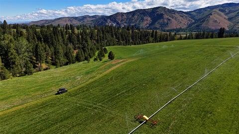 Tiny photo for 246 Coal Mine Road, Darby, MT 59829 (MLS # 30071448)