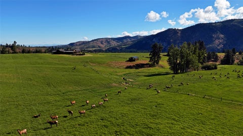 Tiny photo for 246 Coal Mine Road, Darby, MT 59829 (MLS # 30071448)