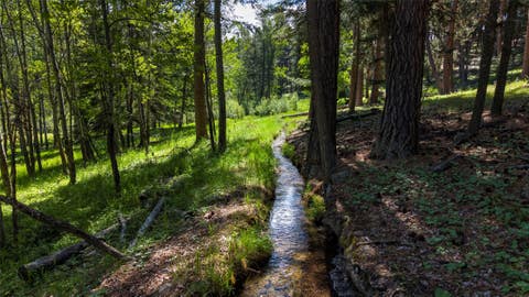Tiny photo for 246 Coal Mine Road, Darby, MT 59829 (MLS # 30071448)
