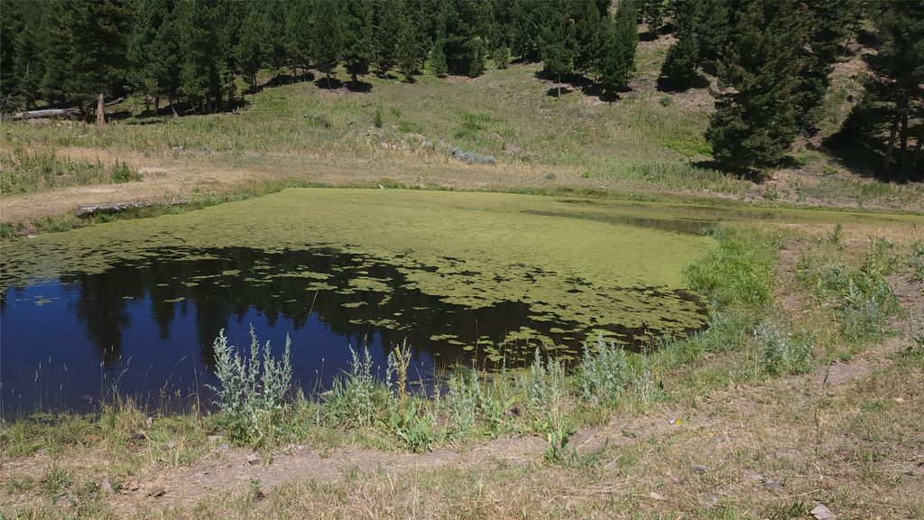 Photo of Tract 8,9,10 Garnet Range, Drummond, MT 59832 (MLS # 30064066)