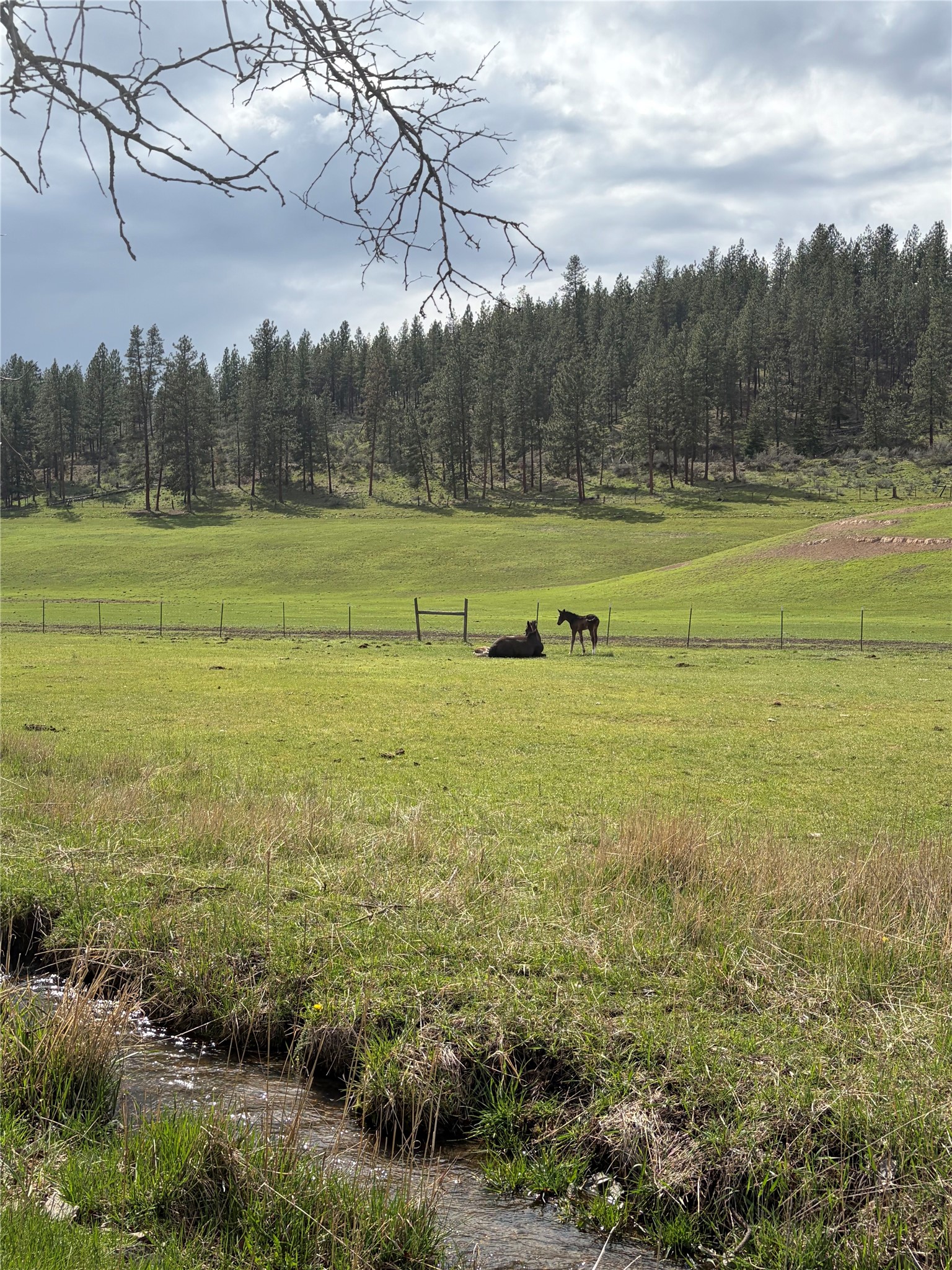 13 High Country Road