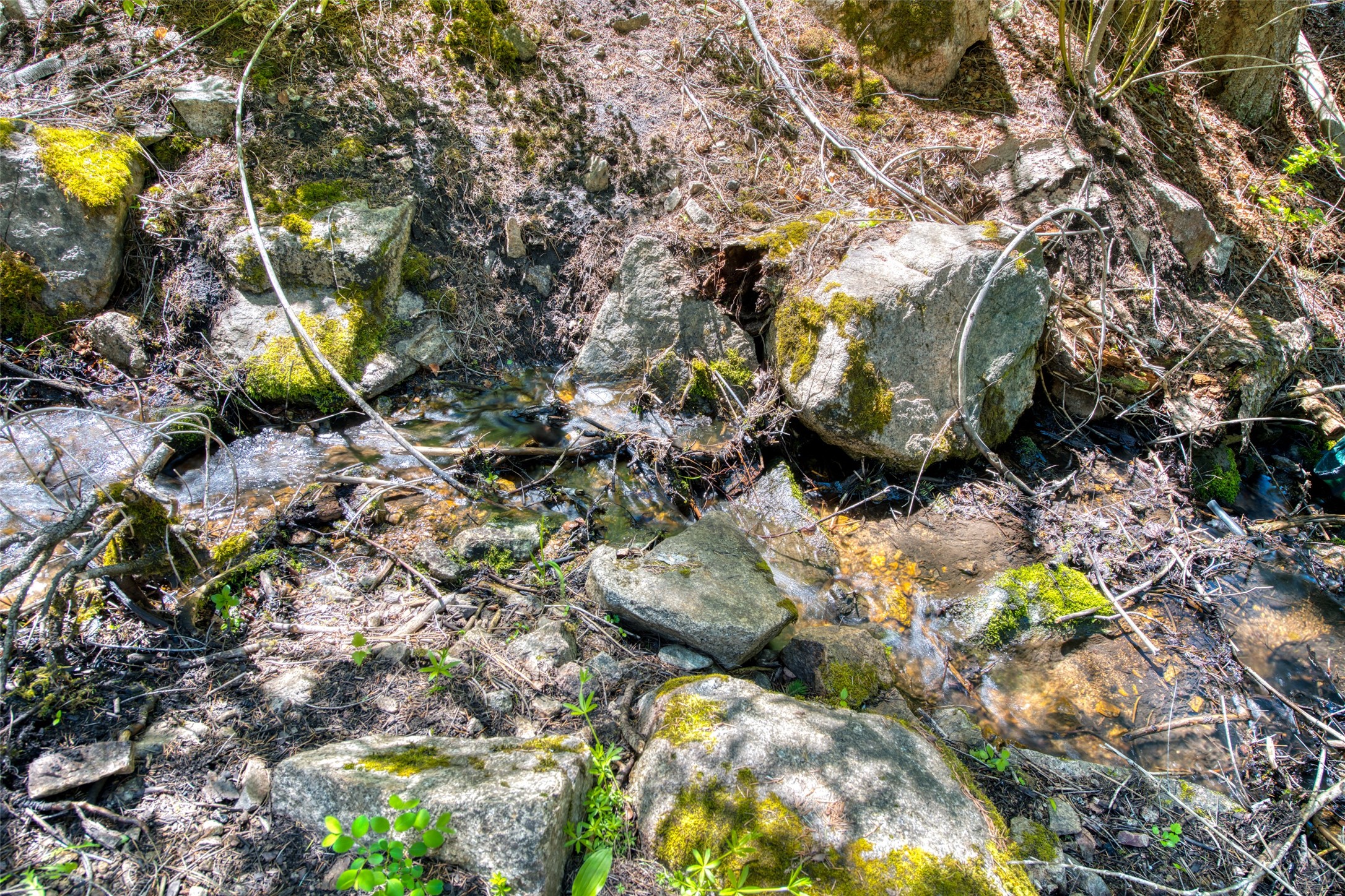 Darby, Montana 59829, United States, 1 Bedroom Bedrooms, ,1 BathroomBathrooms,Residential,Pending,57609