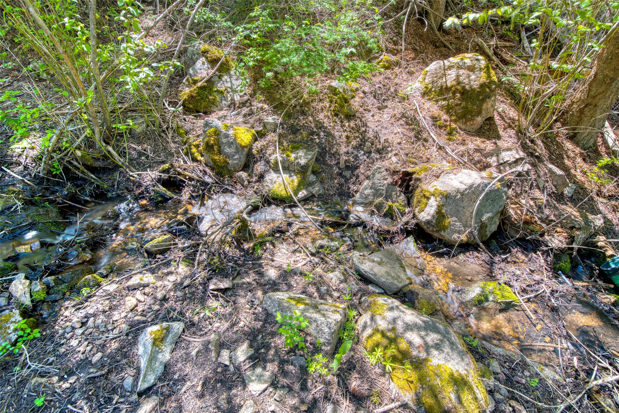 Darby, Montana 59829, United States, 1 Bedroom Bedrooms, ,1 BathroomBathrooms,Residential,Pending,57609