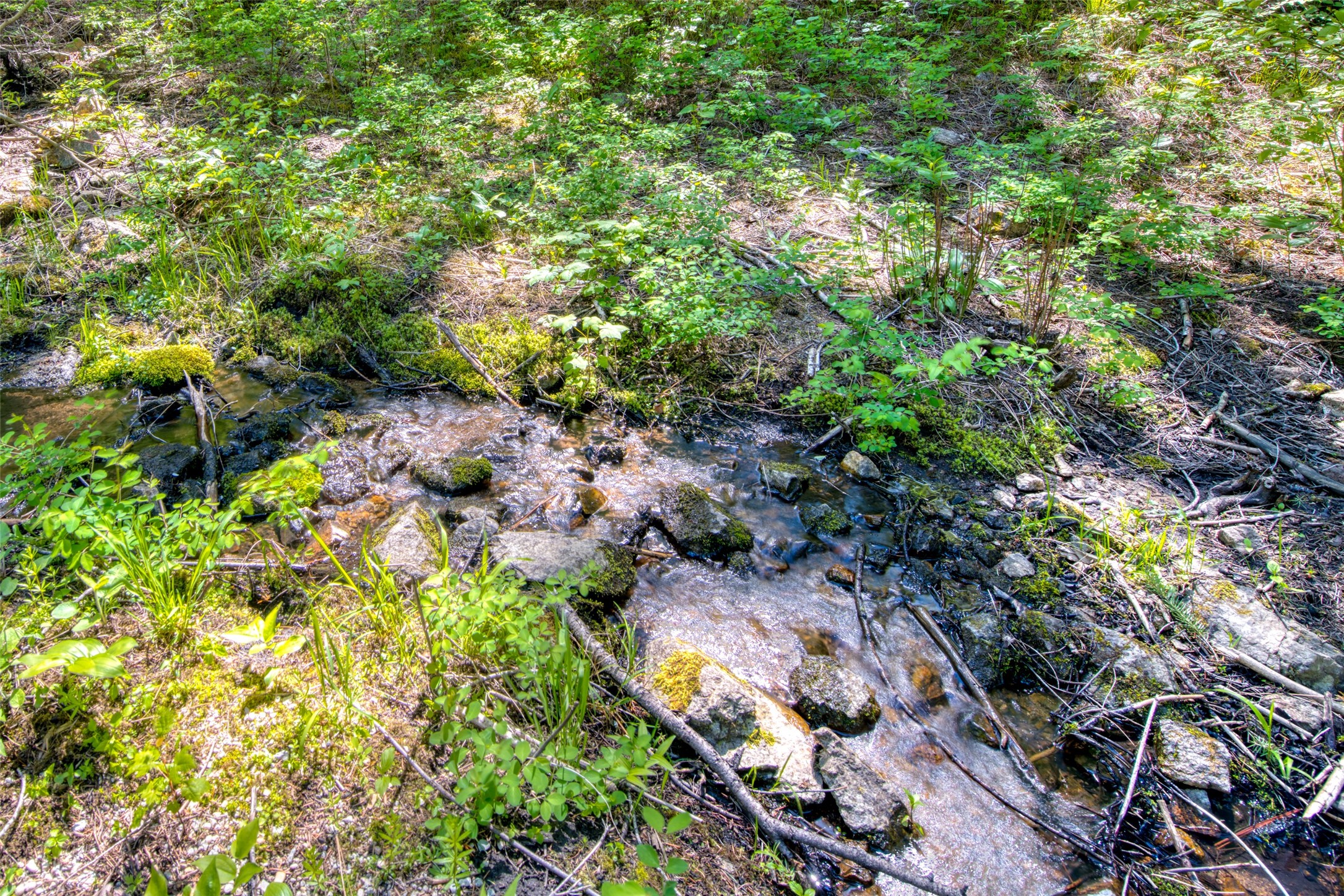 Darby, Montana 59829, United States, 1 Bedroom Bedrooms, ,1 BathroomBathrooms,Residential,Pending,57609