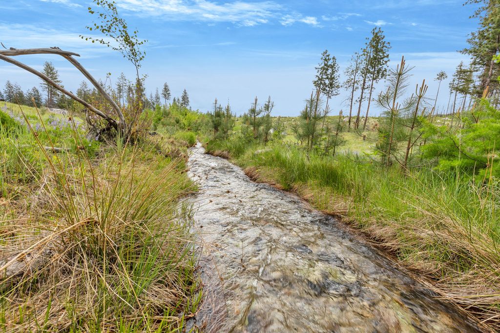 Photo of Lot 11 Roaring Lion Road, Hamilton, MT 59840 (MLS # 30050226)