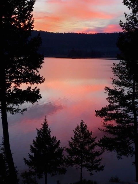 Tiny photo for 80 Bitterroot Cove Court, Marion, MT 59925 (MLS # 30076350)