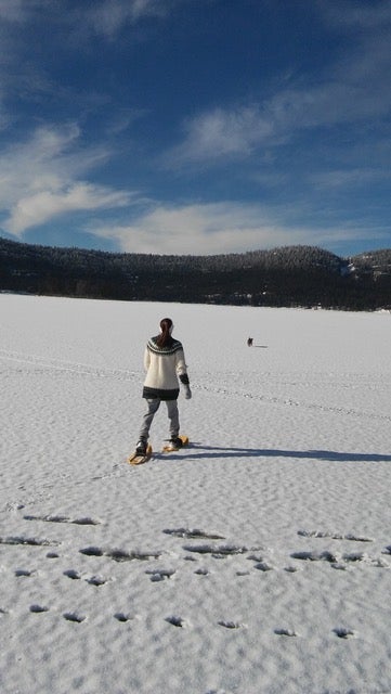 Tiny photo for 80 Bitterroot Cove Court, Marion, MT 59925 (MLS # 30076350)
