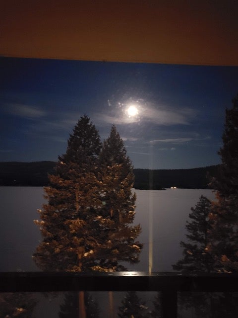 Tiny photo for 80 Bitterroot Cove Court, Marion, MT 59925 (MLS # 30076350)