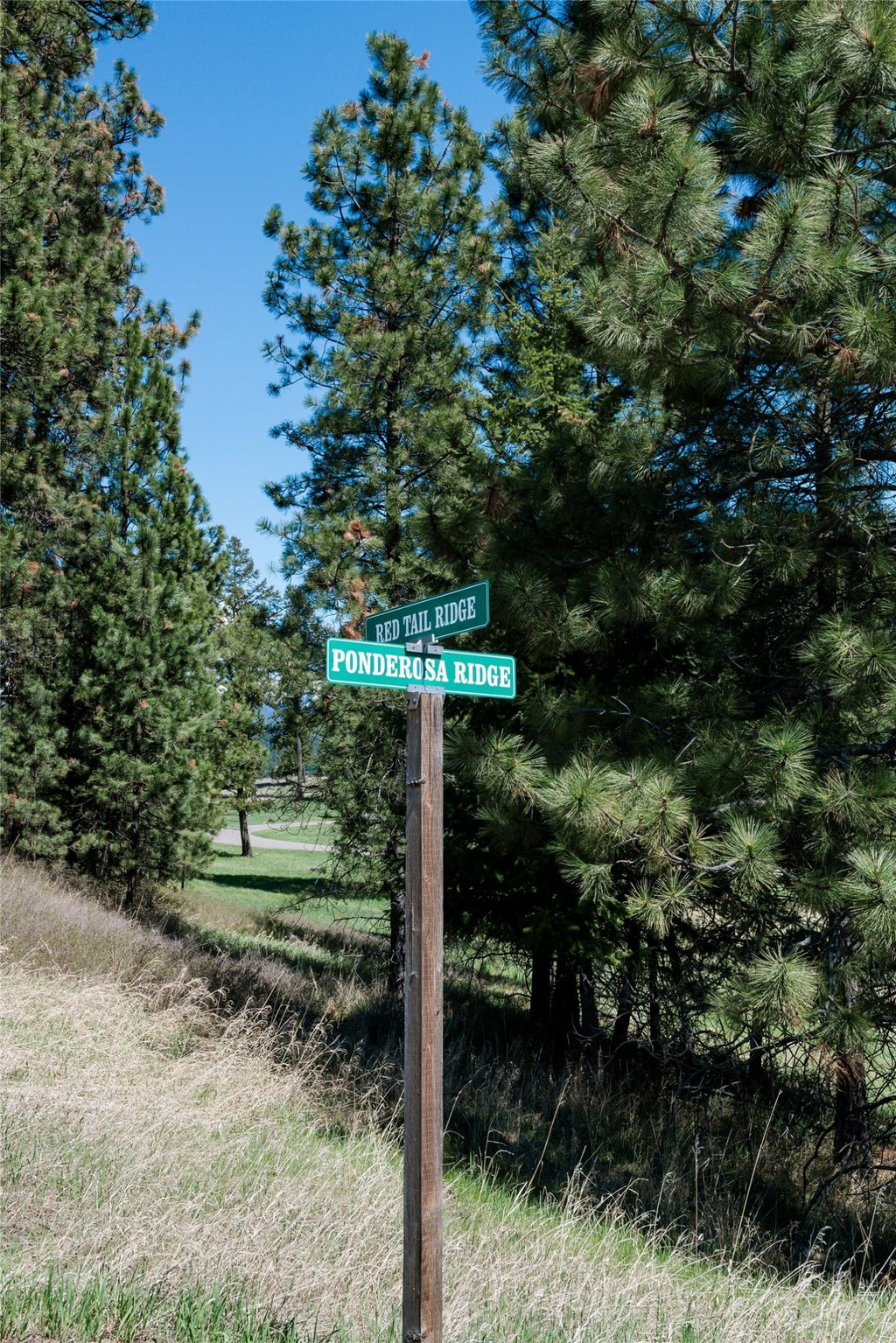 Photo of 37 Red Tail Ridge, Bigfork, MT 59911 (MLS # 30068647)