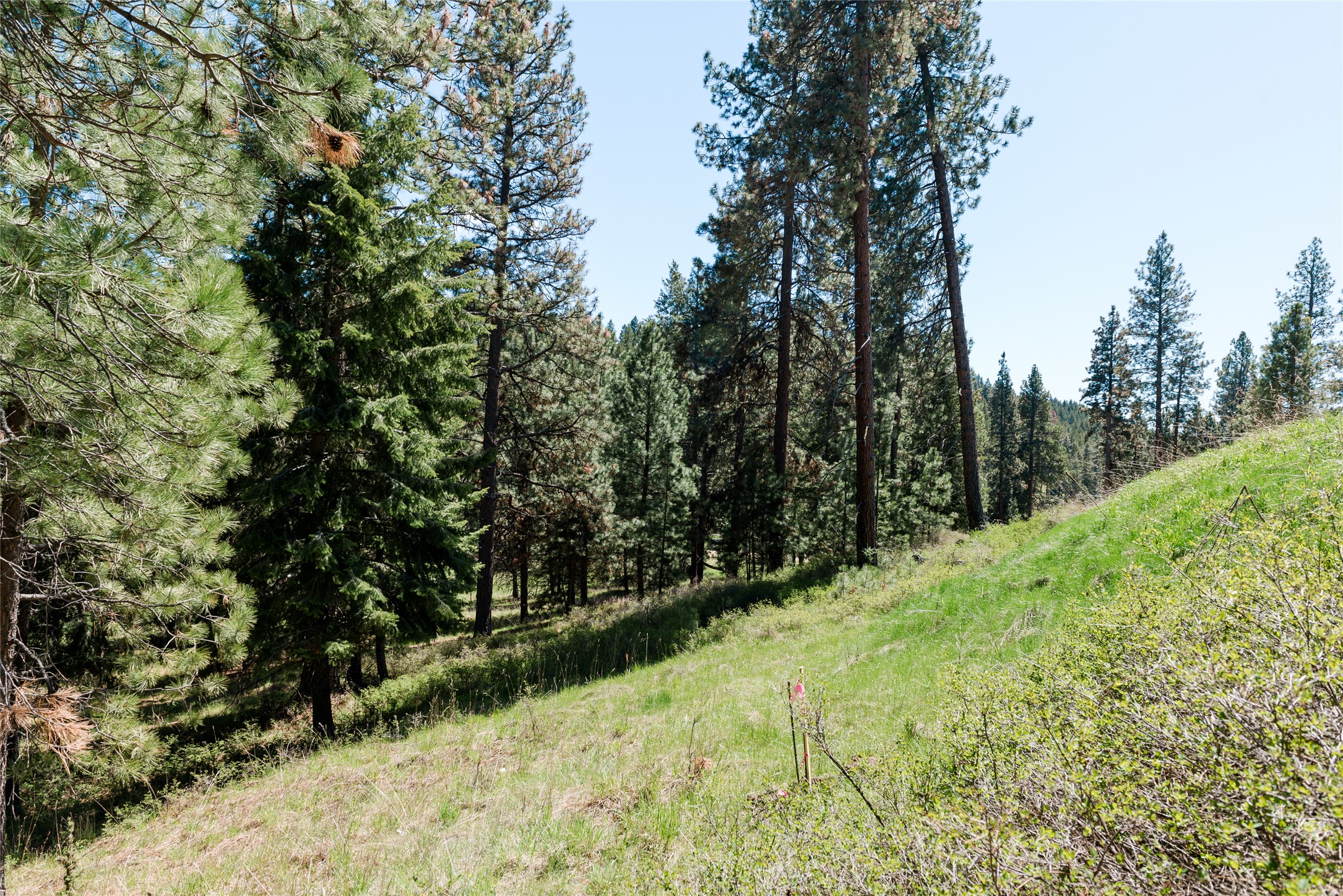 37 Red Tail Ridge