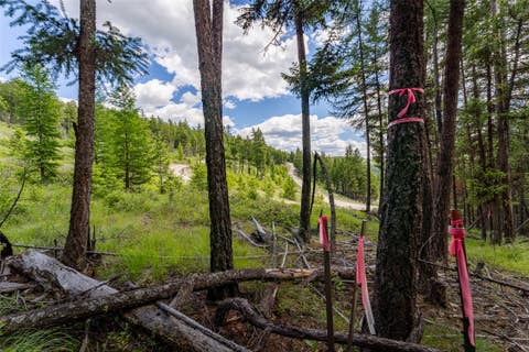 Tiny photo for 2342 Sirius View, Kalispell, MT 59901 (MLS # 30073367)