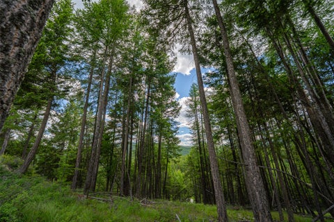 Tiny photo for 2342 Sirius View, Kalispell, MT 59901 (MLS # 30073367)