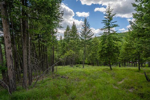 Tiny photo for 2342 Sirius View, Kalispell, MT 59901 (MLS # 30073367)