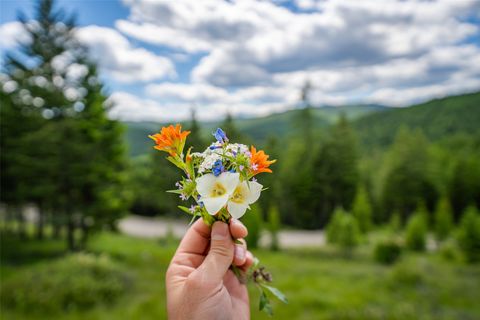 Tiny photo for 2342 Sirius View, Kalispell, MT 59901 (MLS # 30073367)