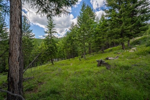 Tiny photo for 2342 Sirius View, Kalispell, MT 59901 (MLS # 30073367)