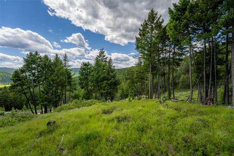 Tiny photo for 2342 Sirius View, Kalispell, MT 59901 (MLS # 30073367)