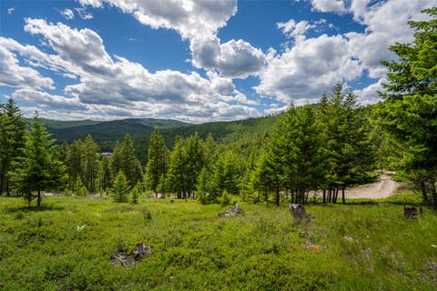 Tiny photo for 2342 Sirius View, Kalispell, MT 59901 (MLS # 30073367)