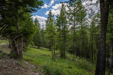 Tiny photo for 2342 Sirius View, Kalispell, MT 59901 (MLS # 30073367)