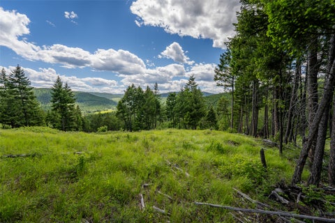 Tiny photo for 2342 Sirius View, Kalispell, MT 59901 (MLS # 30073367)
