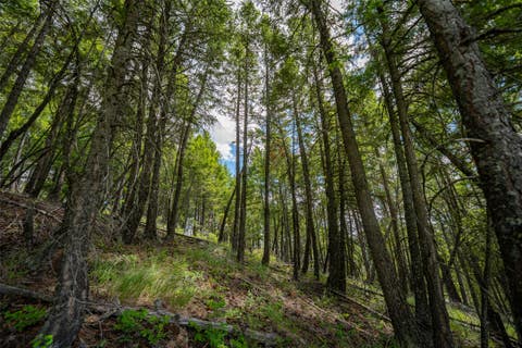 Tiny photo for 2342 Sirius View, Kalispell, MT 59901 (MLS # 30073367)