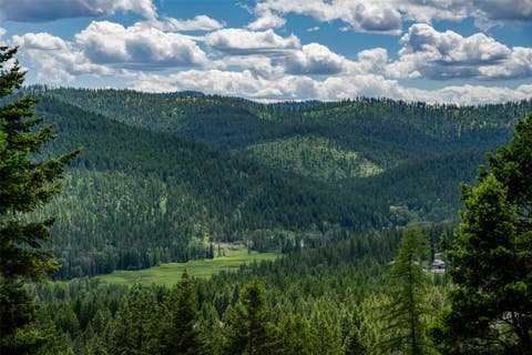 Tiny photo for 2342 Sirius View, Kalispell, MT 59901 (MLS # 30073367)