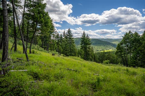 Tiny photo for 2342 Sirius View, Kalispell, MT 59901 (MLS # 30073367)