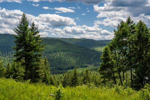 Photo of 2342 Sirius View, Kalispell, MT 59901 (MLS # 30073367)