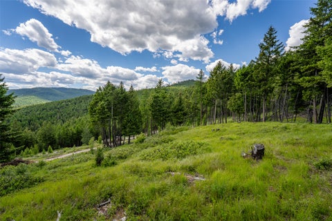 Tiny photo for 2342 Sirius View, Kalispell, MT 59901 (MLS # 30073367)