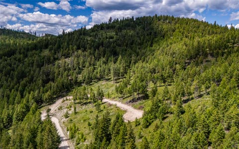 Tiny photo for 2342 Sirius View, Kalispell, MT 59901 (MLS # 30073367)
