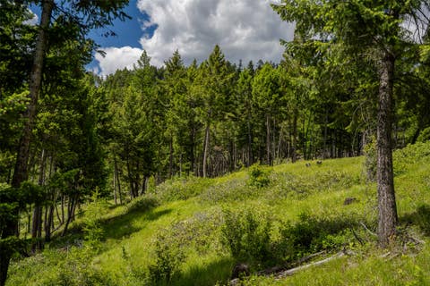 Tiny photo for 2342 Sirius View, Kalispell, MT 59901 (MLS # 30073367)