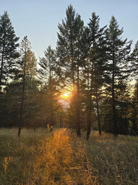 Tiny photo for 218 Walking Coyote Drive #LOT 68, Kalispell, MT 59901 (MLS # 30058202)