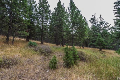 Tiny photo for 218 Walking Coyote Drive #LOT 68, Kalispell, MT 59901 (MLS # 30058202)